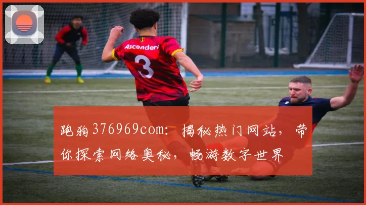 跑狗376969com：揭秘热门网站，带你探索网络奥秘，畅游数字世界