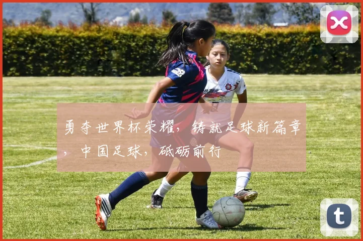 勇夺世界杯荣耀，铸就足球新篇章，中国足球，砥砺前行