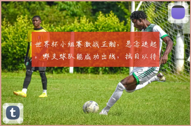 世界杯小组赛激战正酣，悬念迭起，哪支球队能成功出线，拭目以待，精彩不容错过